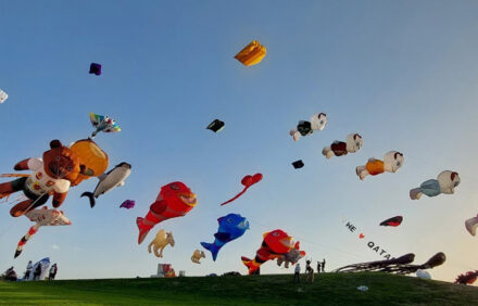 Learn About Local Festivals